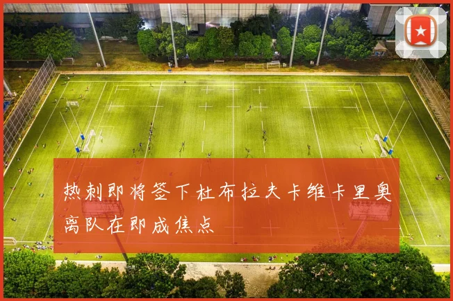 热刺即将签下杜布拉夫卡维卡里奥离队在即成焦点